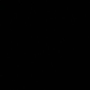 Meet your Posher, Malik anas